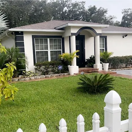 Caribbean Splendor Vacation Rental Near Bush Gardens Tampa Fl